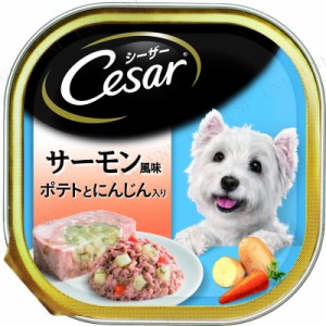 シーザー サーモン風味 ポテトとにんじん入り 100g 【 犬の餌 ペットグッズ ドッグフード ペットフード ペット用品 ウェットフード エサ 