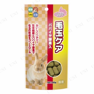 うさぎ 飼育 グッズの通販｜au PAY マーケット