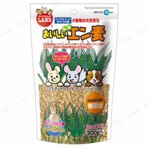 マルカン おいしいムキエン麦 300g 【 ウサギ うさぎ用品 小動物用品 ペットグッズ 兎 えさ 餌 ペット用品 ペットフード うさぎのエサ 】