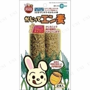 【取寄品】 マルカン かじってエン麦 2本入 【 餌 ペット用品 ウサギ 小動物用品 兎 ペットグッズ うさぎのエサ ペットフード うさぎ用品