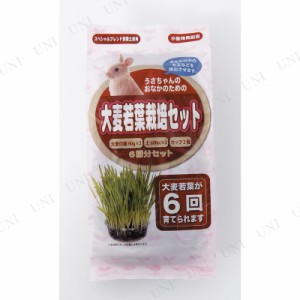 【取寄品】 アラタ うさちゃん用大麦若葉栽培セット 6回分 【 えさ ペットグッズ 兎 餌 うさぎ用品 ペット用品 ペットフード ウサギ うさ