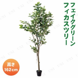 フェイクグリーン 162cm フィカスツリー 【 インテリアグリーン 人工観葉植物 】