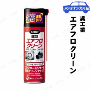 KURE(呉工業) エアフロクリーン 170mL 【 車外用ケミカル 手入れ・洗車・ケミカル 車内 】