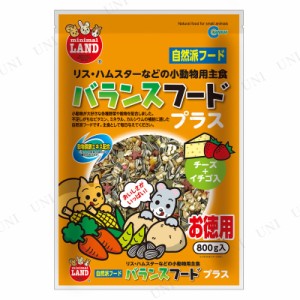 【取寄品】 [3点セット] マルカン バランスフードプラス徳用 800g 【 えさ エサ 小動物用品 ペットグッズ 餌 ペット用品 ペットフード 】