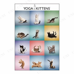 【取寄品】 Yoga Kittens Grid ポスター 【 動物 アニマル インテリア雑貨 】