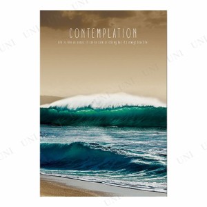 【取寄品】 Contemplation ポスター 【 インテリア雑貨 風景 】