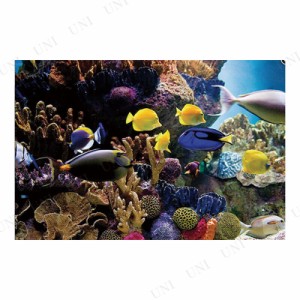 Tropical Fish＆Coral  ポスター 【 動物 インテリア雑貨 アニマル 】