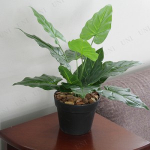[2点セット] 人工観葉植物 ビロードカズラ 45cm 【 フェイクグリーン ミニサイズ 蔓 小さい ミニ観葉植物 葛 かずら インテリアグリーン 