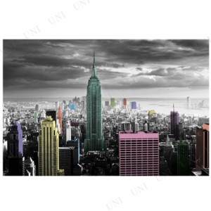 ニューヨーク New York(Colour Splash) 【 ポスター インテリア 風景 インテリア雑貨 】