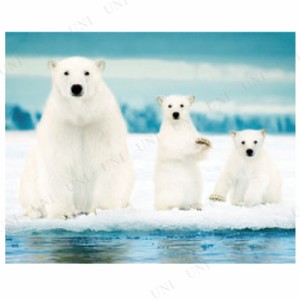 【取寄品】 Polar Bear Family 【 ポスター インテリア雑貨 アニマル 動物 】