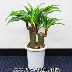 58cmドラセナフレグランス (造花・人工観葉植物) 【 幸福の木 インテリアグリーン フェイクグリーン 】