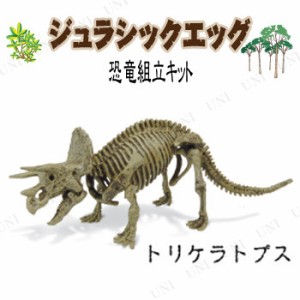 【取寄品】 ジュラシックエッグ トリケラトプス 【 おもちゃ フィギュア 組み立てキット 恐竜 骨格 オモチャ 標本 製作 人形 模型 玩具 