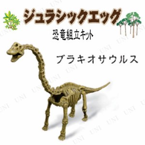 ジュラシックエッグ ブラキオサウルス 【 オモチャ 標本 製作 模型 人形 骨格 玩具 組み立てキット フィギュア 恐竜 おもちゃ 】