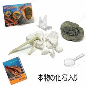 化石発掘セット 三葉虫 【 オモチャ 玩具 人形 フィギュア おもちゃ 】