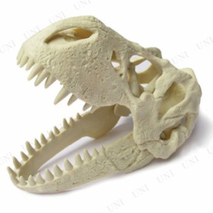 【取寄品】 T-REX頭蓋骨発掘セット ティラノサウルス 【 人形 オモチャ 玩具 おもちゃ フィギュア 】