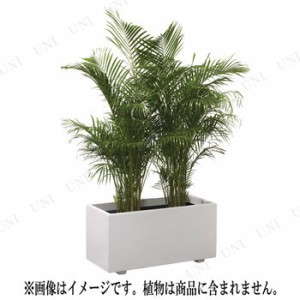 【取寄品】 ホワイトプランター W 100型 【 ポット 園芸 植木鉢 ガーデニング用品 】