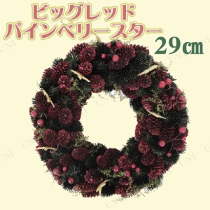 ナチュラルリース ビッグレッドパインベリースター 29cm 【 リース 玄関 クリスマスパーティー 雑貨 クリスマスリース デコレーション 壁