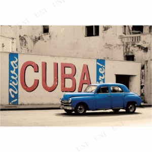 【取寄品】 Viva Cuba ポスター 【 風景 インテリア雑貨 】