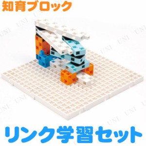 【取寄品】 Artecブロック リンク学習セット 【 知育玩具 おもちゃ オモチャ 教材 幼児 】