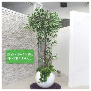 175cmホワイトフィカス 光触媒(人工観葉植物) 【 光触媒 フェイクグリーン 消臭 モンステラ 観葉植物 インテリアグリーン 抗菌 】