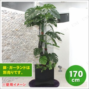 人工観葉植物 光触媒 モンステラ 170cm 【 光触媒 フェイクグリーン 消臭 抗菌 インテリアグリーン 】