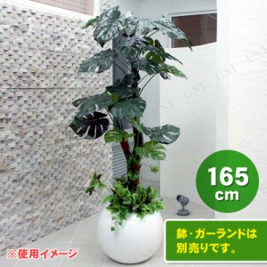 人工観葉植物 光触媒 モンステラ 165cm 【 光触媒 フェイクグリーン 消臭 インテリアグリーン 抗菌 】