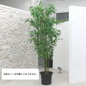 人工観葉植物 光触媒 バンブー 青竹 200cm 【 光触媒 フェイクグリーン 消臭 七夕 飾り 笹 POP ディスプレイ 販促品 抗菌 店舗装飾品 た