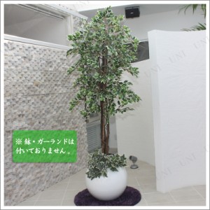 180cmホワイトフィカス 光触媒(人工観葉植物) 【 光触媒 フェイクグリーン 消臭 ゴムノキ 抗菌 インテリアグリーン ゴムの木 】