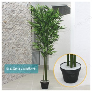 人工観葉植物 光触媒 バンブー 青竹 150cm 【 光触媒 フェイクグリーン 消臭 七夕 飾り 笹 デコレーション 店舗装飾品 インテリアグリー