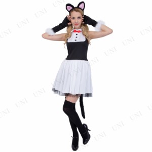 コスプレ 仮装 CLUB QUEEN Lady Cat(レディキャット) 【 コスプレ 衣装 ハロウィン 仮装 コスチューム 動物 アニマル キャット 猫 レディ