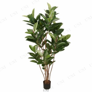 【取寄品】 人工観葉植物 ゴムの木 150cm 【 フェイクグリーン ゴムノキ インテリアグリーン 】