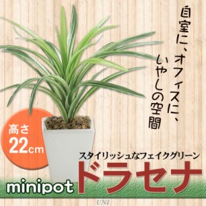 人工観葉植物 ミニポット ドラセナ 22cm 【 観葉植物 小さい フェイクグリーン ミニ ミニ観葉植物 ミニサイズ インテリアグリーン 幸福の