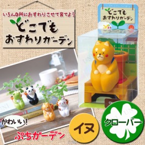 【取寄品】 栽培キット どこでもおすわりガーデン イヌ クローバー 【 家庭菜園 インテリア雑貨 花 室内園芸 キッチン菜園 栽培セット フ