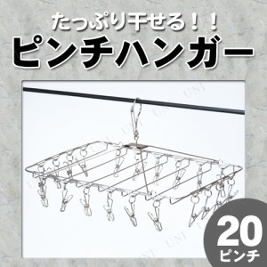 ステンレススチールピンチハンガー 20ピンチ 【 もの干し 洗濯用品 物干しハンガー 洗濯物干し ものほし 吊り下げ 】