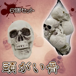 頭蓋骨6個入り 【 スカル ドクロ ハロウィン 怖い 置物 雑貨 ガイコツ オブジェ リアル 骸骨 スケルトン ホラーディスプレイ 】