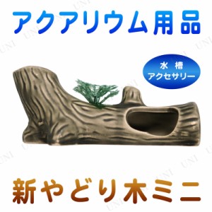 アクアリウム用品 新やどり木 ミニ 【 アクアリウム内装 枝 ペットグッズ 水槽用具 アクセサリー 装飾品 流木 ペット用品 水槽用品 レイ