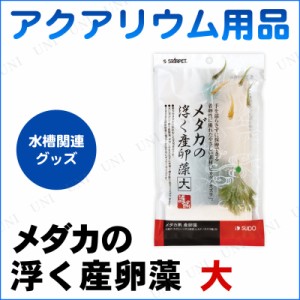 アクアリウム用品 メダカ浮く産卵藻 大 【 メダカ 水草 水槽用具 ペット用品 ペットグッズ 水槽用品 産卵用品 シダ植物 】