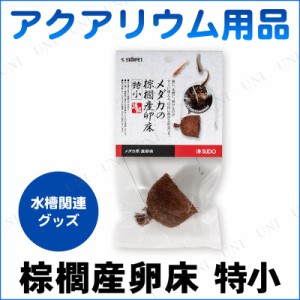 棕櫚産卵床 特小 【 ペット用品 産卵用品 アクアリウム用品 ペットグッズ 】