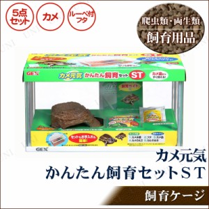 爬虫類 ケージ セットの通販｜au PAY マーケット