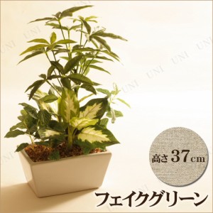 人工観葉植物 パキラ Wl 小さい ミニサイズ ミニ観葉植物 フェイクグリーン インテリアグリーンの通販はau Wowma ワウマ パーティワールド 商品ロットナンバー