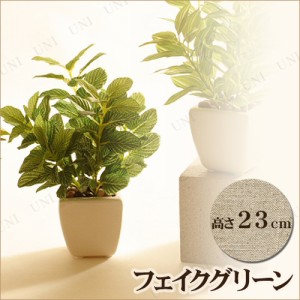 【取寄品】 人工観葉植物 23cm フィットニア 【 小さい インテリアグリーン ミニ観葉植物 フェイクグリーン ミニサイズ 】