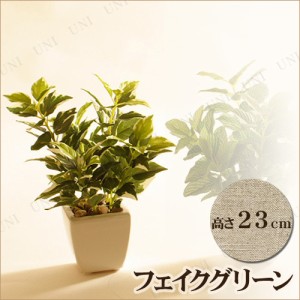 【取寄品】 人工観葉植物 23cm ポトス 【 ミニ観葉植物 小さい フェイクグリーン ミニサイズ インテリアグリーン 】