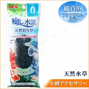 癒し水景 天然彩り草 ブルー 【 ペット用品 アクアリウム用品 水槽用具 シダ植物 水草 ペットグッズ 水槽用品 】