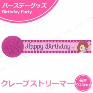 【取寄品】 クレープストリーマー ちいさなプリンセス ソフィア 【 イベント用品 誕生日パーティー 飾り付け バナー 室内装飾 バースデー