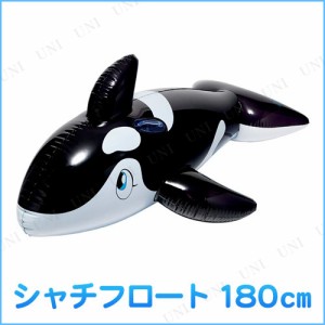 シャチフロート ブラック 180cm 【 海水浴 グッズ プール用品 水物 水遊び用品 ビーチグッズ 】