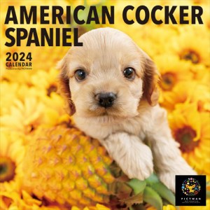 アメリカン・コッカー・スパニエル PICTWAN (ピクトワン) カレンダー DOG 【L版】 2024年カレンダー 24CL-50001L