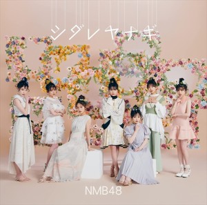 【おまけCL付】新品 シダレヤナギ(通常盤Type-A) / NMB48 (CDM+DVD) YRCS90192-SK