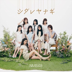 【おまけCL付】新品 シダレヤナギ(通常盤Type-B) / NMB48 (CDM+DVD) YRCS90193-SK