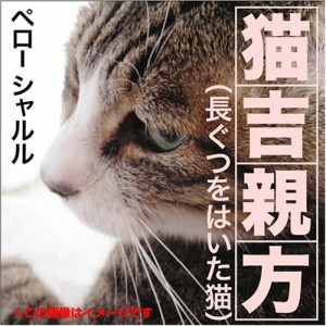 新品 長ぐつをはいた猫 / シャルル・ペロー  (オーディオブックCD) 9784775925638-PAN