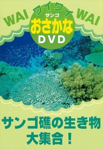 新品 サンゴ礁の生き物大集合！ /  (DVD) DKLA-1013-KEI